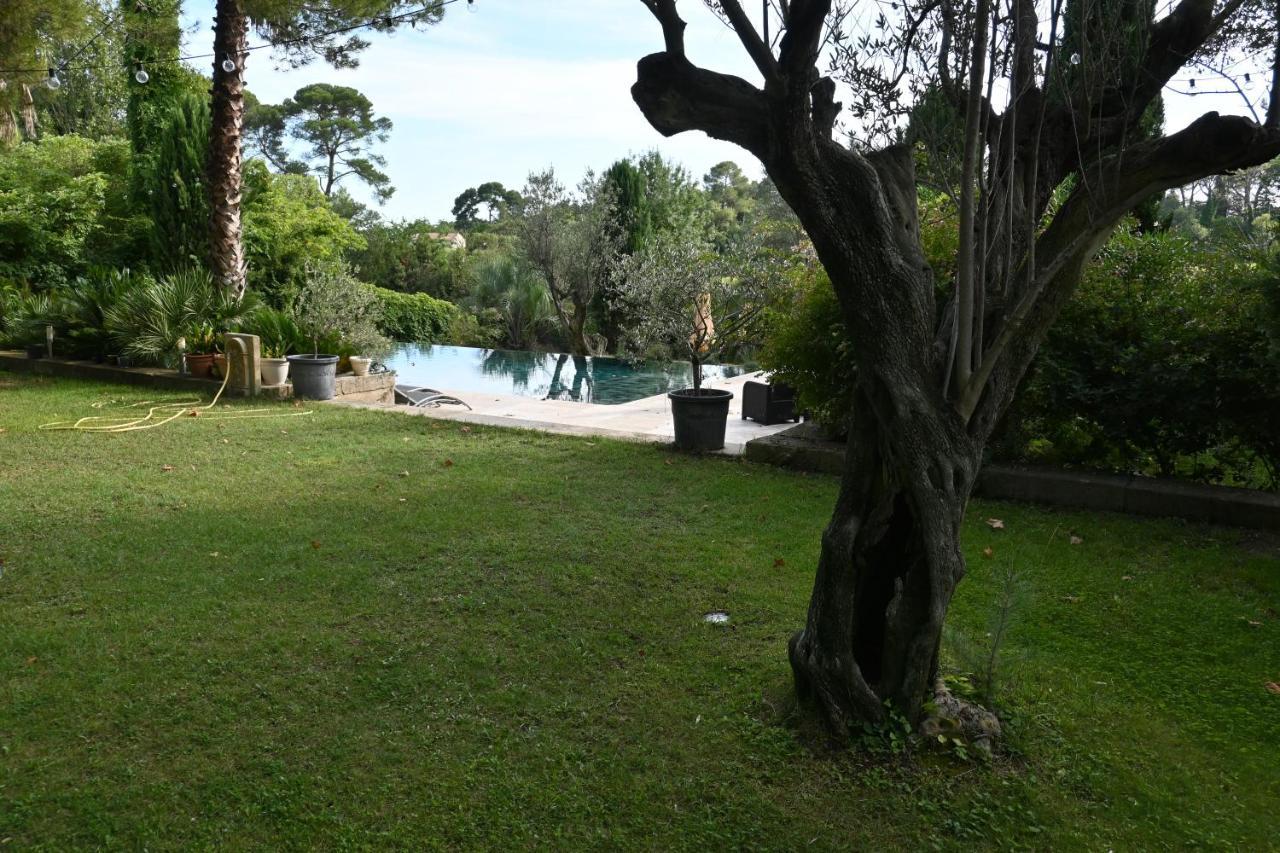 D'hotes Sous L'olivier Bed and breakfast